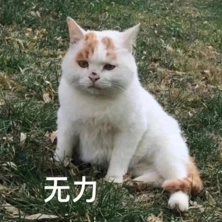 电信19元永久卡是真的吗？揭秘背后的真相，避免被误导！