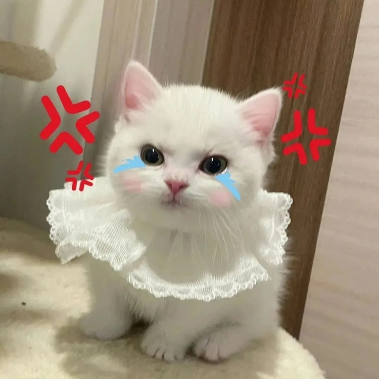 大王卡移动版19元，竟然是这样？揭秘真相！